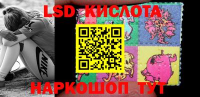 прущие крисы Берёзовский