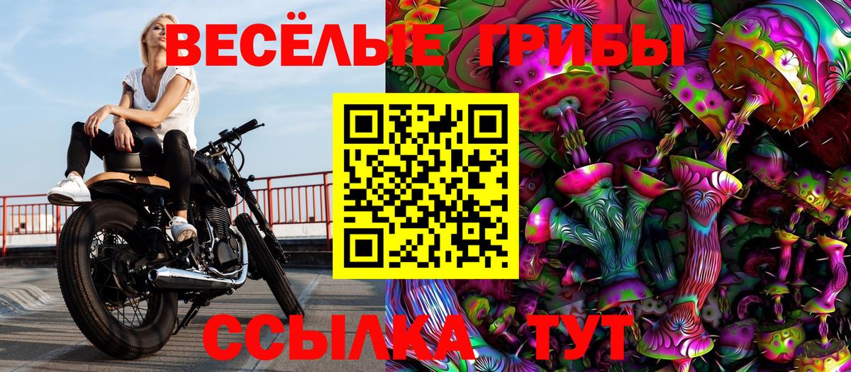 Псилоцибиновые грибы MAGIC MUSHROOMS Губаха