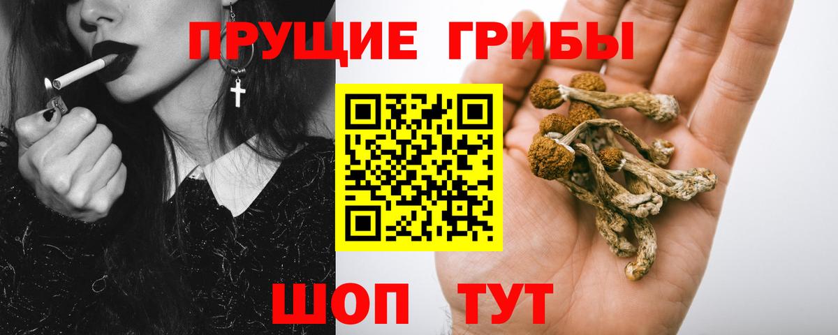 Псилоцибиновые грибы Magic Shrooms  Галлюциногенные грибы Cubensis  Губаха  Вход с VPN 